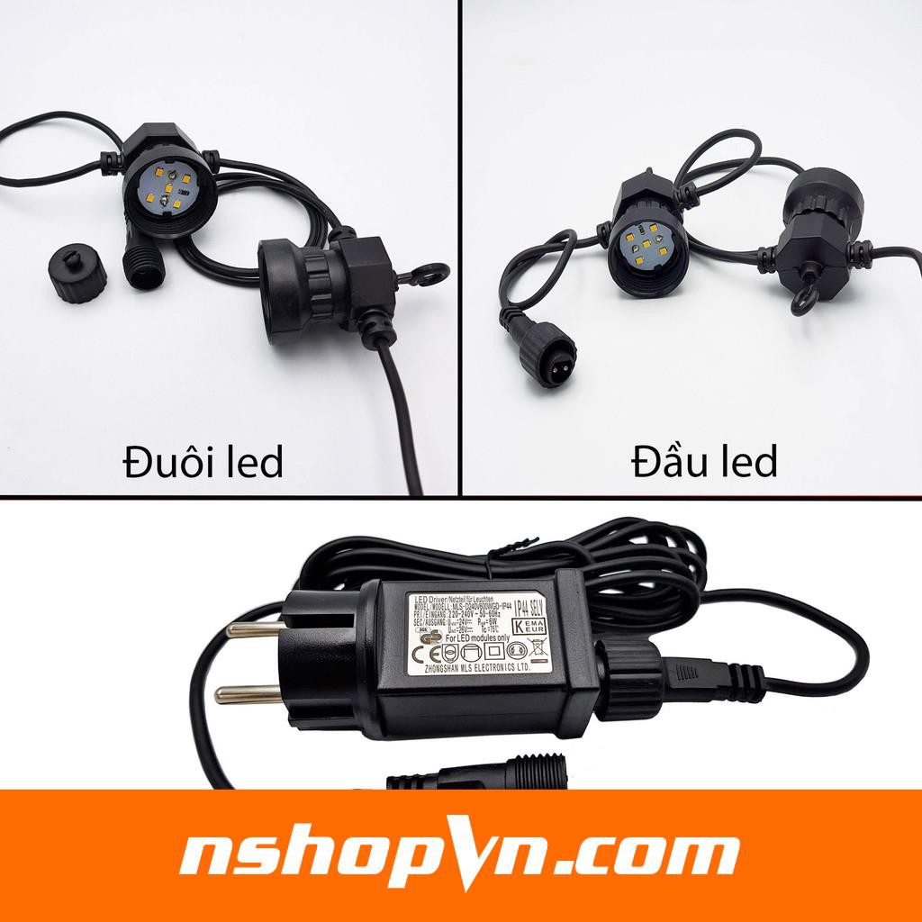 Dây đèn LED G50 loại Bóng trong - Bóng đục ánh sáng trắng ấm dài 5m - 10 bóng / 10m - 20 bóng