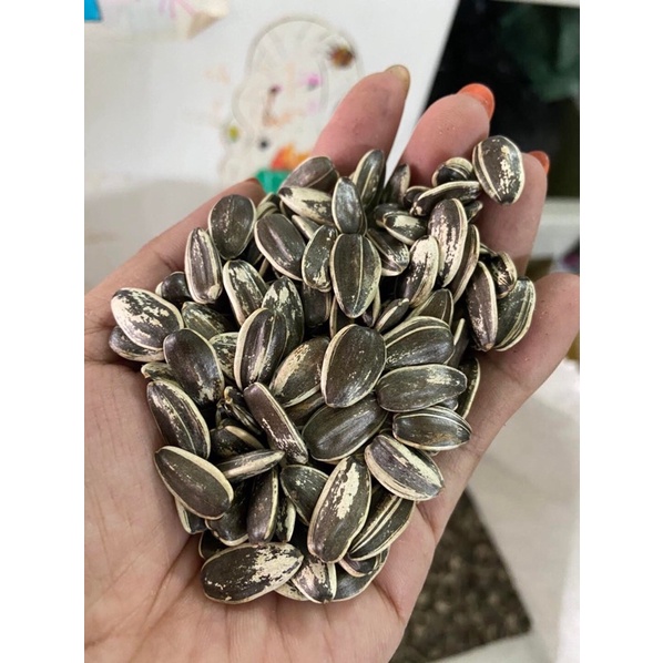 5kg hạt hướng dương lớn- nhỏ cho Lb , cockatiel , parotlet.