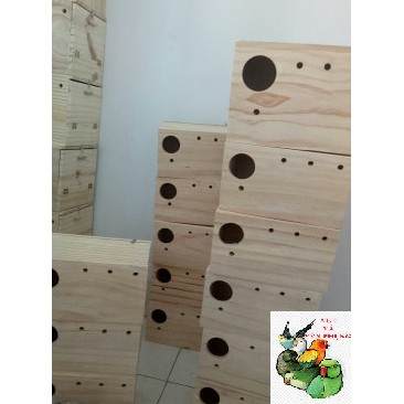 TỔ ĐẺ YẾN PHỤNG (SIZE LỚN). THÔNG NGUYÊN KHỐI