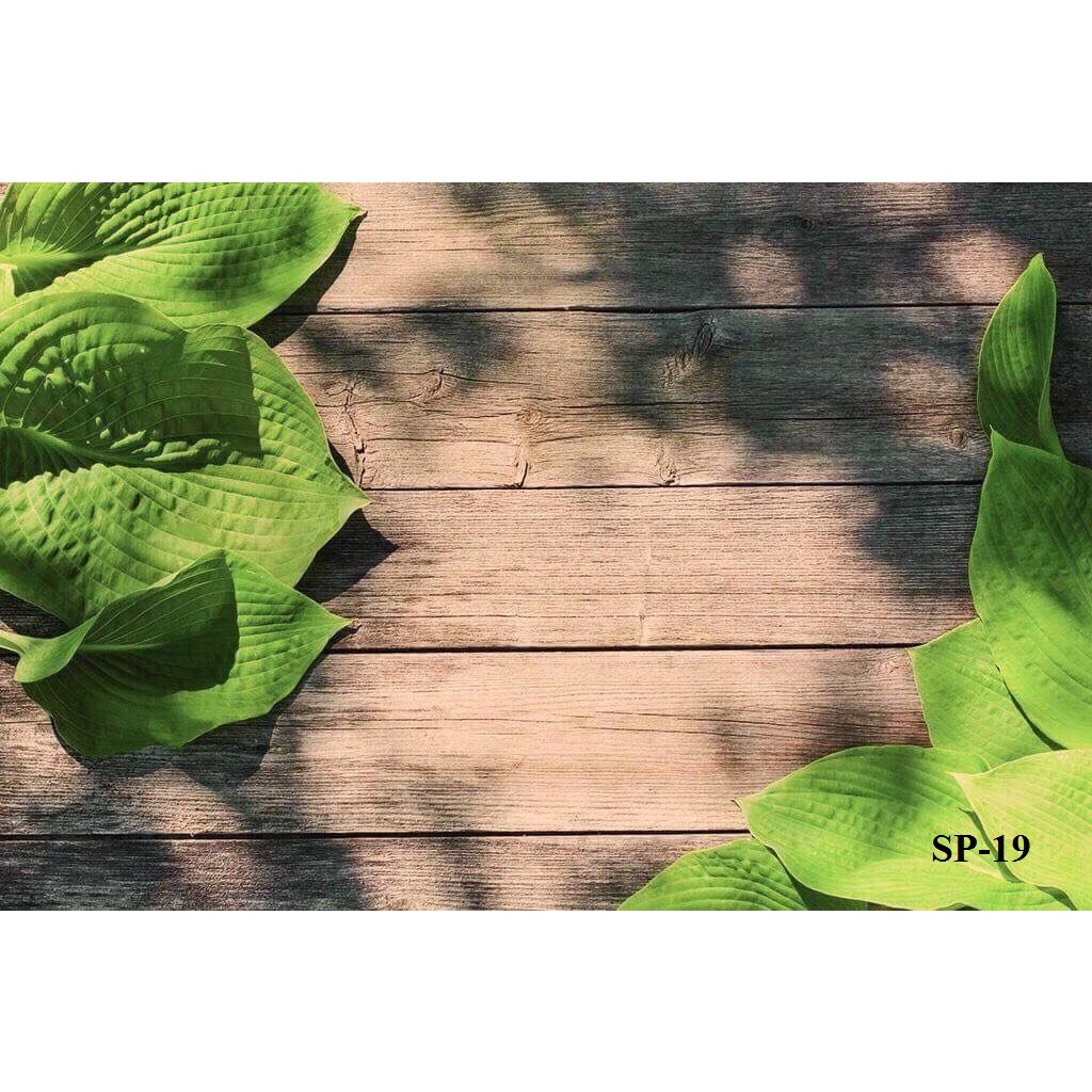 Phông Nền Chụp Ảnh Sản Phẩm Có Sẵn Hoa Lá 5D