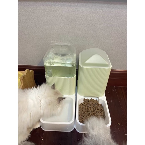 Combo bình tự động đựng nước, đựng hạt thân thiện với thú cưng bản cải tiến - 4pets official