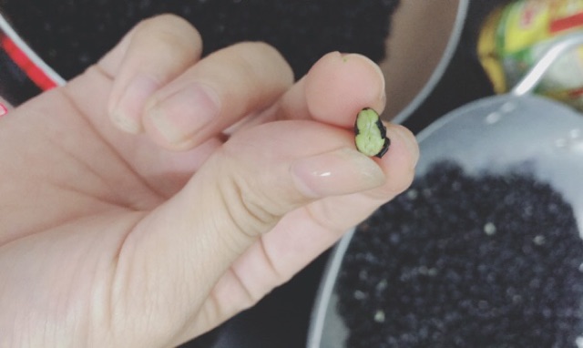 Trà gạo lức đỗ đen xanh lòng  hình ảnh, video shop tự quay