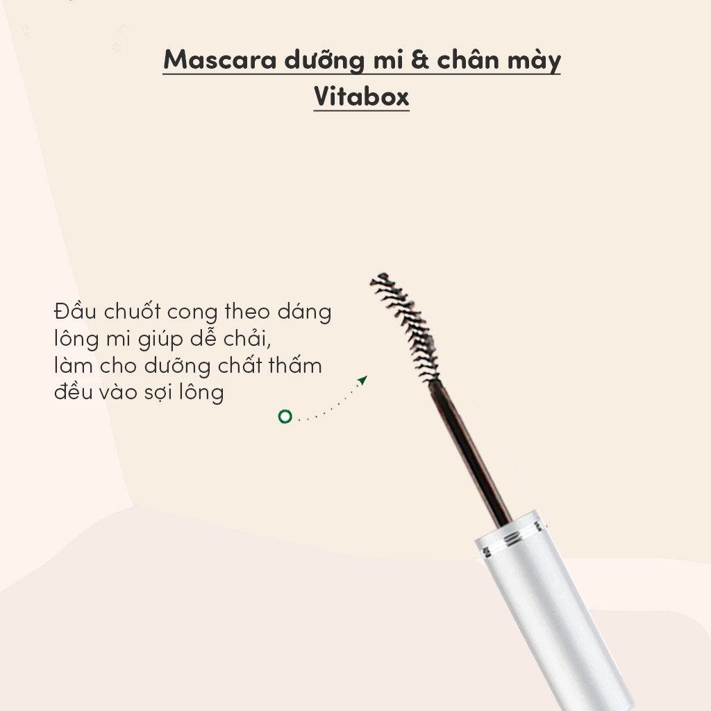 ( Mypham35 ) Chuốt dưỡng mi thiên nhiên VITABOX - Mascara castor dầu dừa hữu cơ dưỡng lông mày, lông mi dài, dày, giảm r