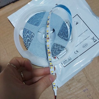 Led cuộn 5m 12v bản 8ly120b/m