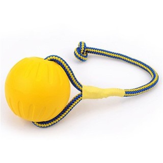 BÓNG CAOSU DÂY THỪNG DÀNH CHO CHÓ