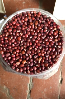 Hạt đậu đỏ nhỏ 1kg