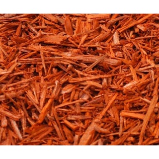TINH DẦU GỖ ĐÀN HƯƠNG (SANDALWOOD) - 10ML