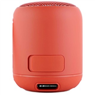 Loa Di Động Sony SRS-XB12/RC E