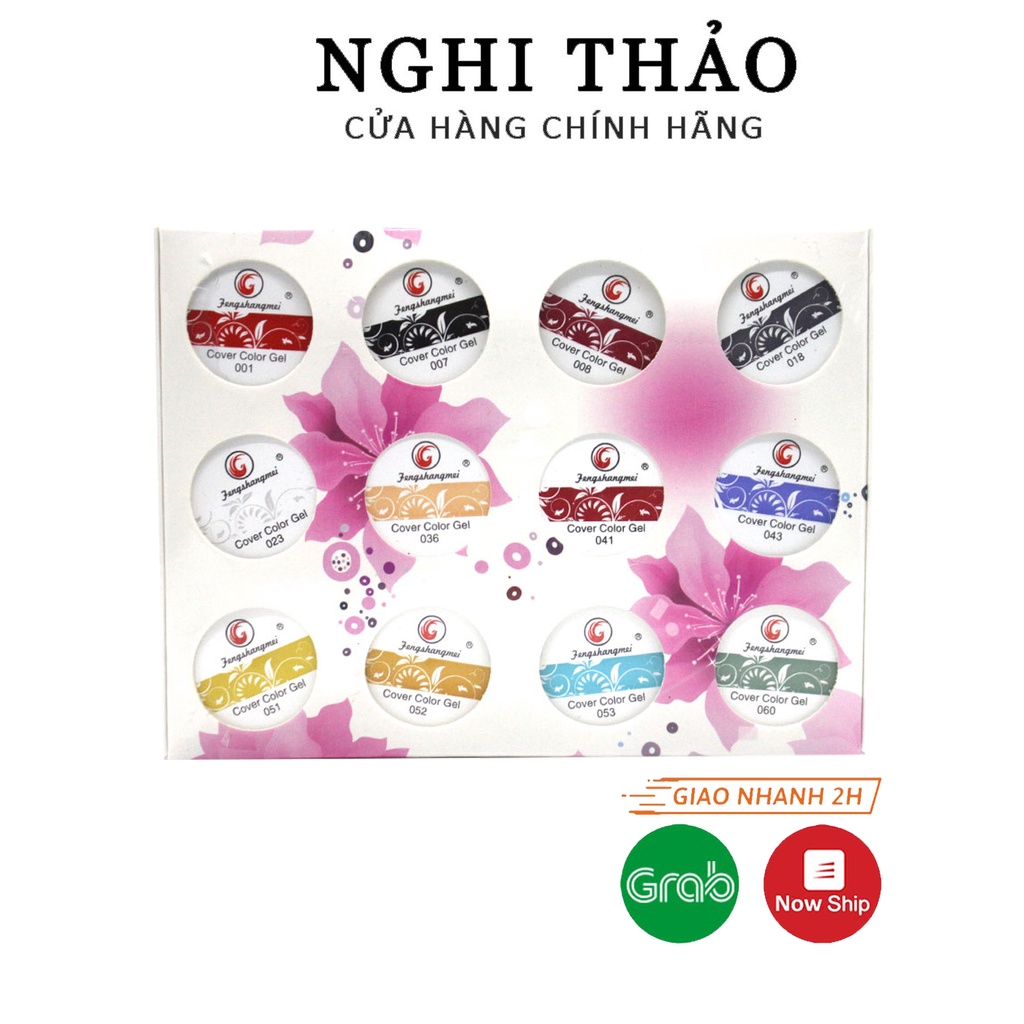 Set gel vẽ nail Fengshangmei 12 Màu