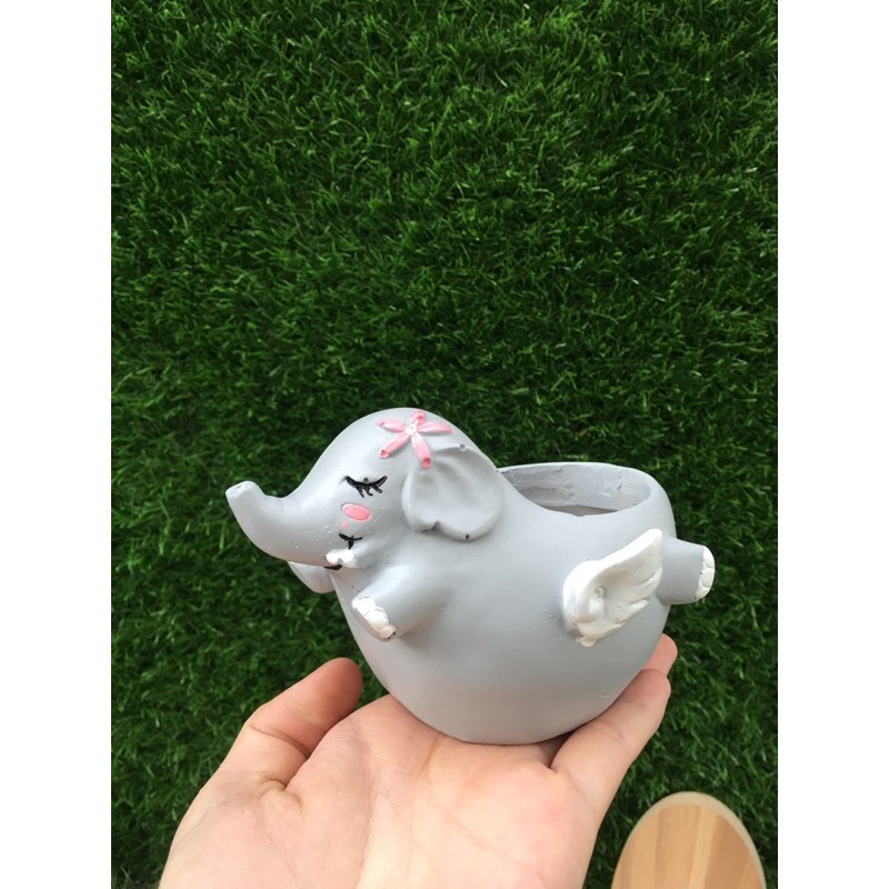 Chậu thú ngộ nghĩnh