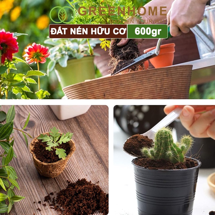 Đất nén hữu cơ, 600gr Greenhome, mụn sơ dừa bánh lớn đã qua xử lý, nở gấp 5 lần, trồng rau, trộn giá thể trồng cây