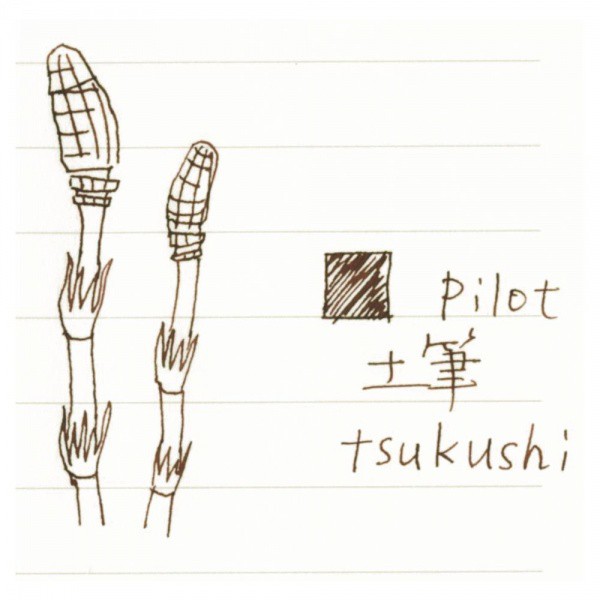 Mực bút máy Pilot Iroshizuku - Màu Tsukushi (Cỏ đuôi ngựa)