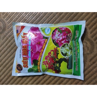 Siêu hoa giấy