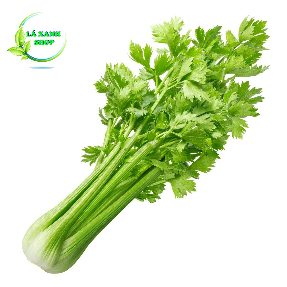 Hạt giống Rau Cần Tây Thera Chịu Nhiệt, Sinh Trưởng Tốt (gói 5 gram) - Hạt Giống Rạng Đông