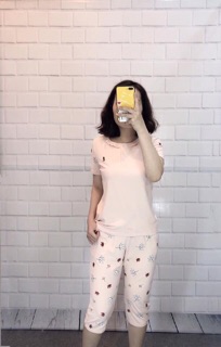 Bộ lửng Vic