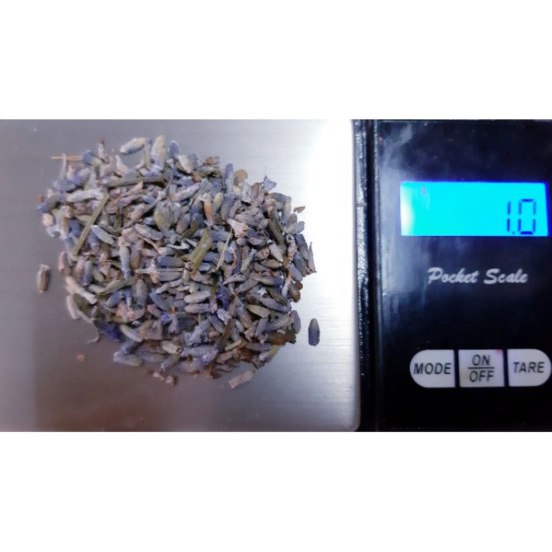 9293trangtri - Túi 1 gram Lavender thơm khô - Phụ kiện làm nến thơm - 9293store