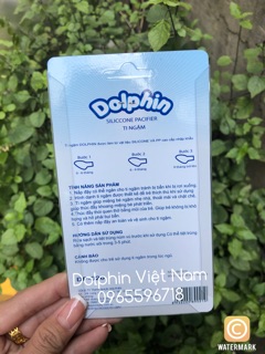 Ty ngậm Dolphin