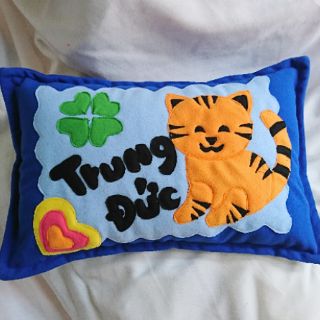 Bộ 5 gối và vỏ gối handmade