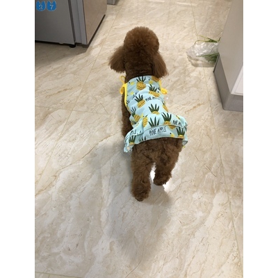 Đầm thun cotton in họa tiết trái cây dễ thương thời trang cho thú cưng
