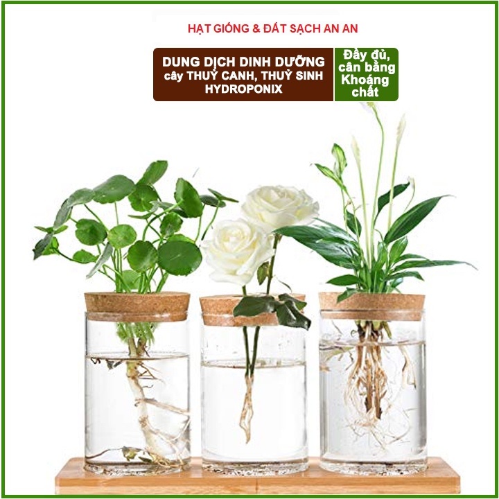 Dung Dịch Dinh Dưỡng Thủy Canh Lavamix - An An Saigon