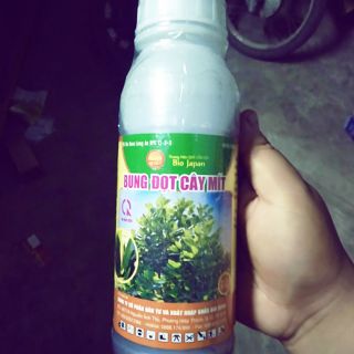 Bung đọt cây mít 500ml