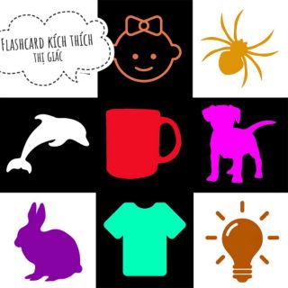 Thẻ kích thích thị giác Flashcard cứng