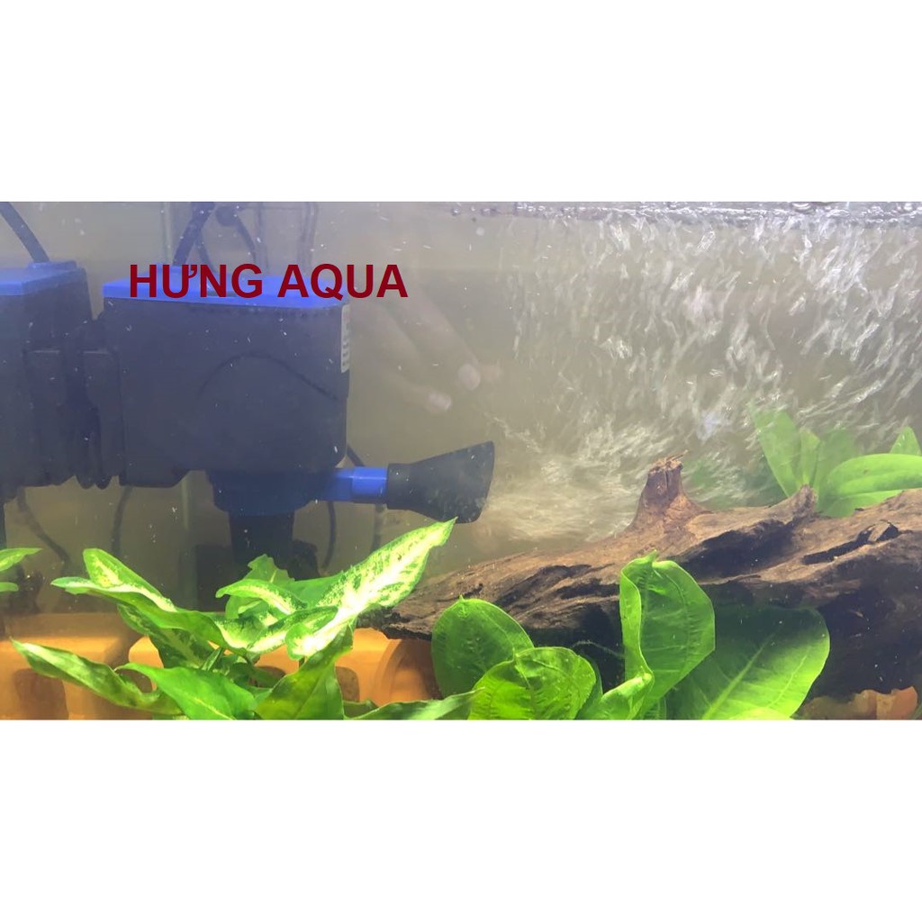 Đầu Máy Bơm Lọc Nước Bể Cá Đầy Đủ Phụ Kiện  RS 1680F - RS 6600 - RS 9900