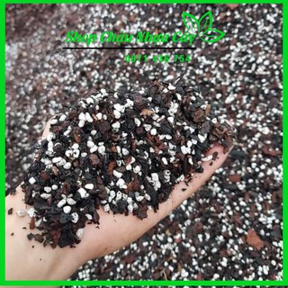 Giá thể trồng lan long vân đã xử lý 1kg
