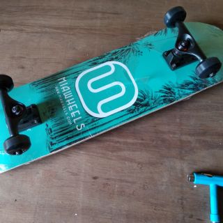 ván trượt skateboard
