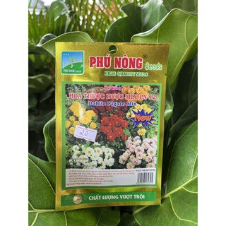 Hạt giống hoa Thược Dược nhiều màu, trồng quanh năm, hoa cánh kép đẹp mắt