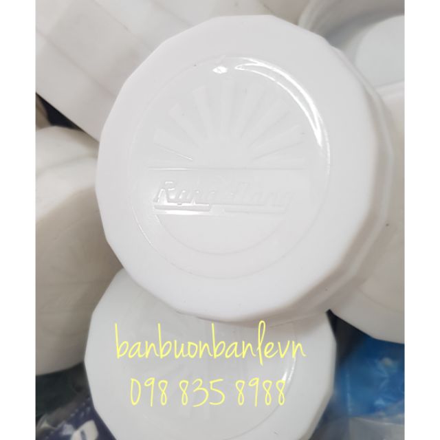 Nút phích nhựa 2 L Rạng đông -  dùng cho mẫu phích loại mới. | BigBuy360 - bigbuy360.vn