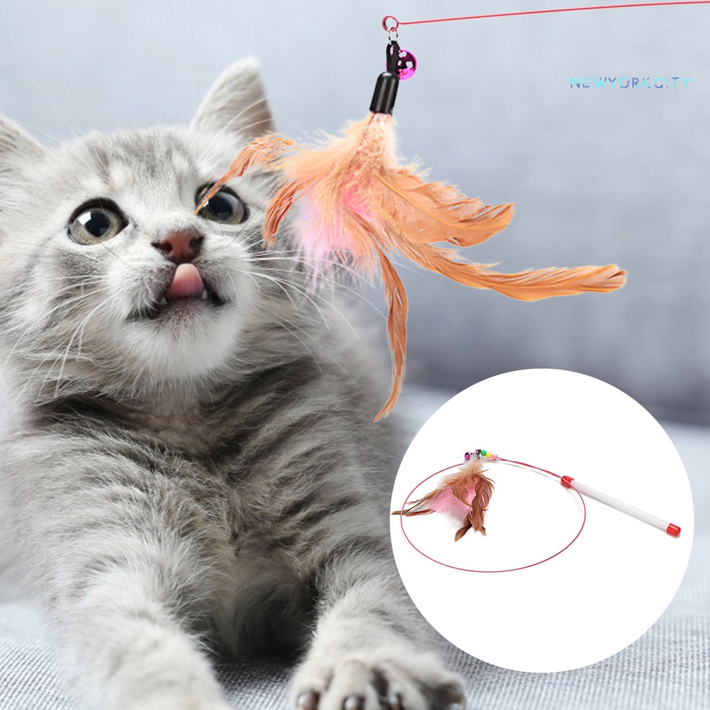 Gậy Lông Vũ Đồ Chơi Bằng Thép Dành Cho Mèo Cưng