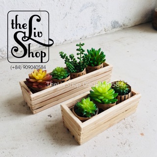 Chậu gỗ trồng cây (20cm)