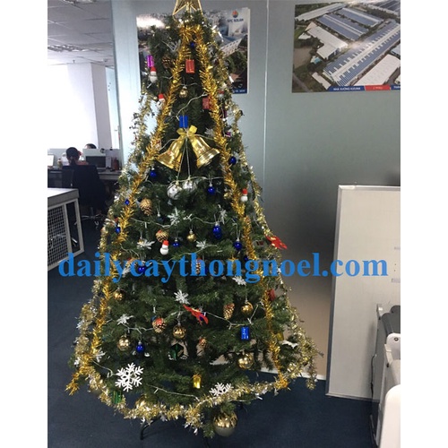 Cây thông noel màu xanh 2m - Cây dày chắc chắn dể tháo lắp