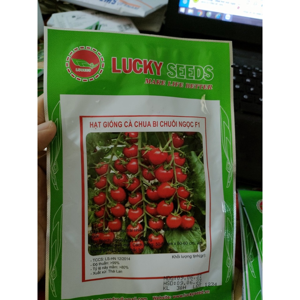 Gói 30 hạt giống cà chua trái cây cherry (Cà chua bi) chịu nhiệt - tỷ lệ nảy mầm 95%
