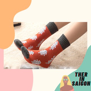 Tất/Vớ Dày Cổ Cao Noel Cây Thông Thời Trang Mùa Đông Đà Lạt - Tặng Túi Zip Bảo Quản Socks - Có Freeship Xtra