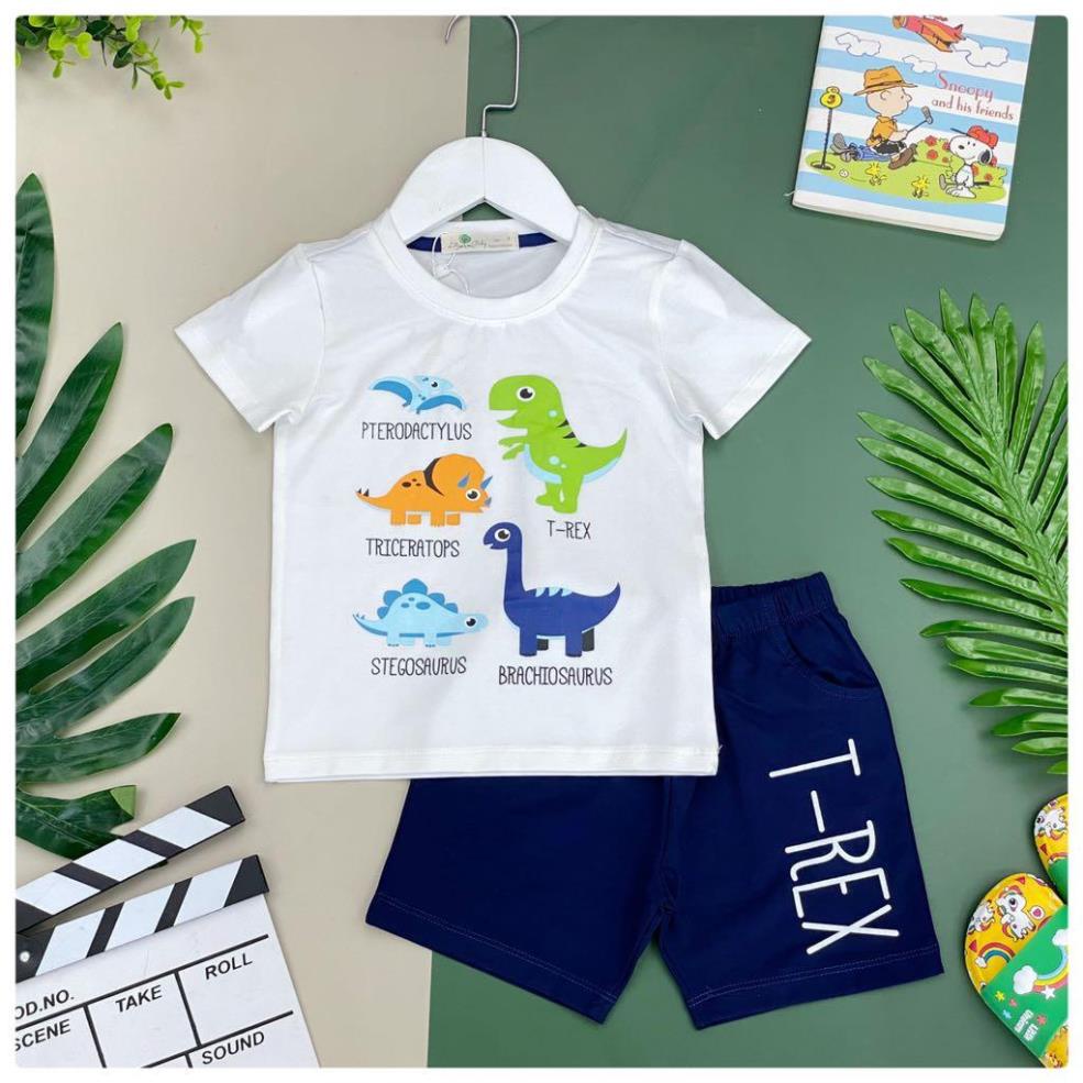 Bộ quần áo thun cotton hình đàn khủng long litibaby. Mã BDKL01