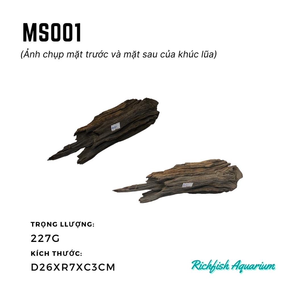 Gỗ lũa dùng setup layout bể cá cảnh thủy sinh nhỏ từ 20-30cm (Ms001-Ms008)