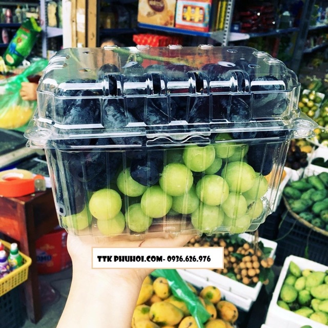 Hộp nhựa đựng trái cây 1kg combo 330 hộp