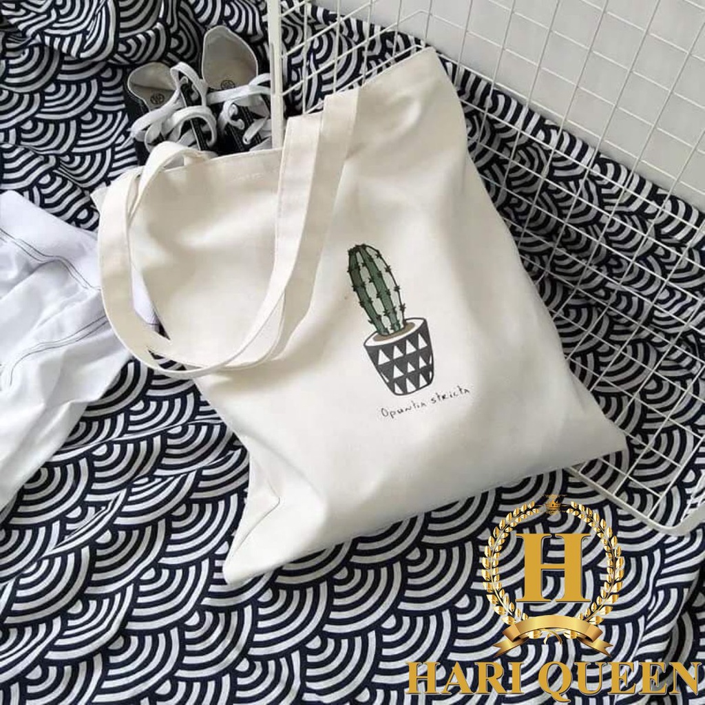 Túi vải xương rồng chậu tam giác HARIQUEEN