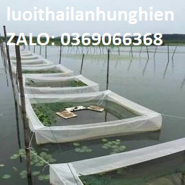 Lồng Buông cá Ốc, Ếch  5 x 4 x 2 có vanh 20cm Cá Từ Nhỏ Tới To Lưới Thái Lan Chuyên cung cấp tráng nuôi ốc ,ếch,cá vvv s
