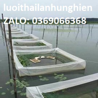 Lồng nuôi cá ốc ếch 5,5 x 3 x 2 có vanh 20cm cá từ nhỏ tới to lưới thái lan chuyên cung cấp tráng nuôi ốc ,ếch,cá vvv