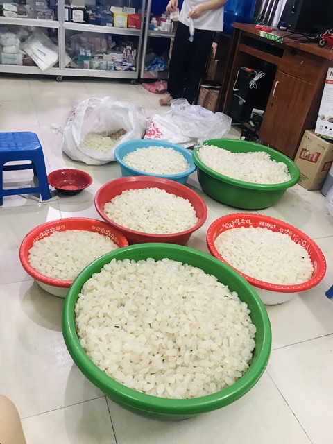 Hạt đác tươi 1kg.10kg giảm giá