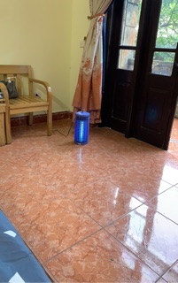 Đèn bắt muỗi đại sinh ds-d6