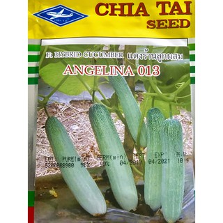 Hạt giống dưa leo lai F1 - ANGELINA 013