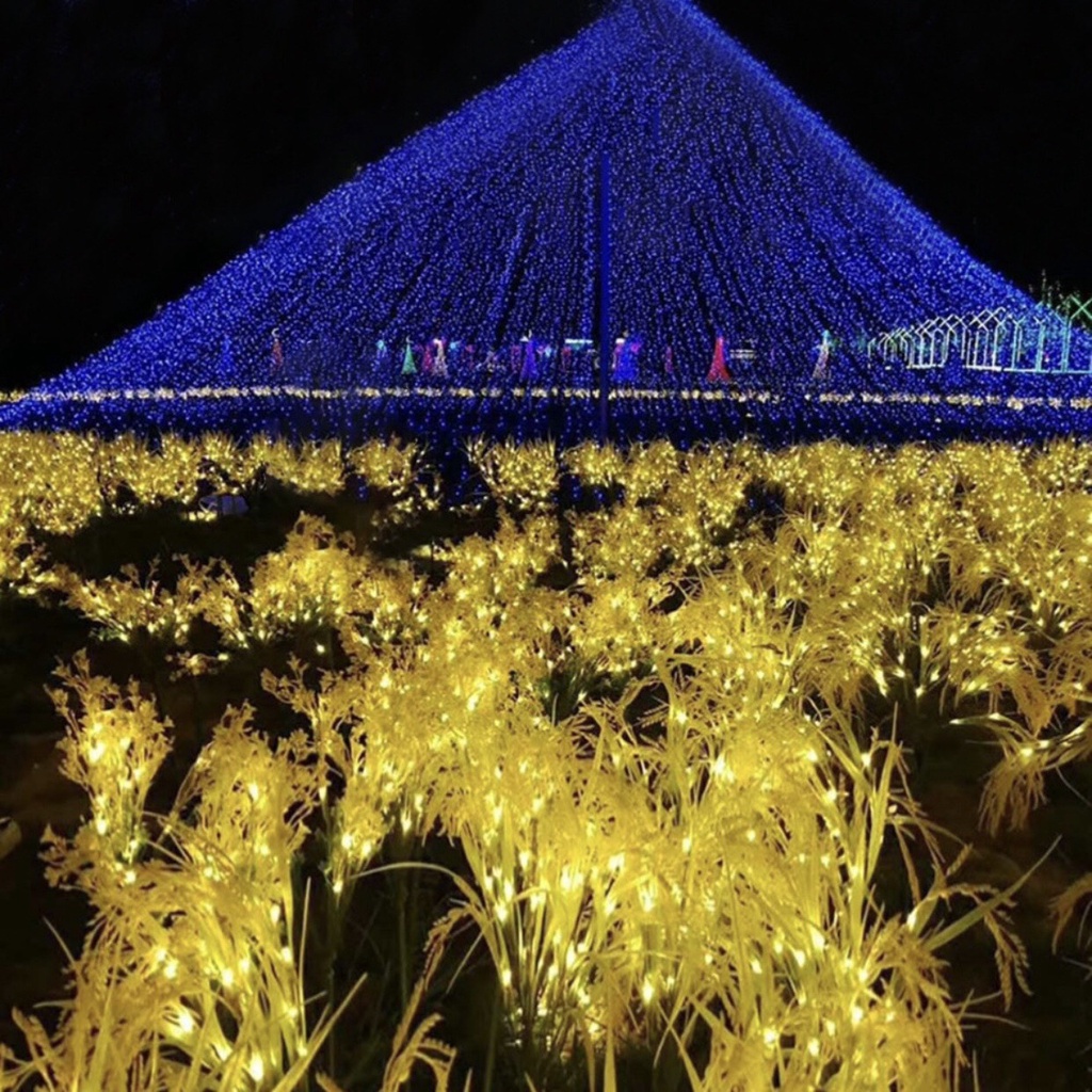 Đèn bông lúa đèn led lúa mạch  trang trí ban thờ,sân vườn  tiểu cảnh lối đi chiếu sáng nhà hàng,quán cafe, công viên