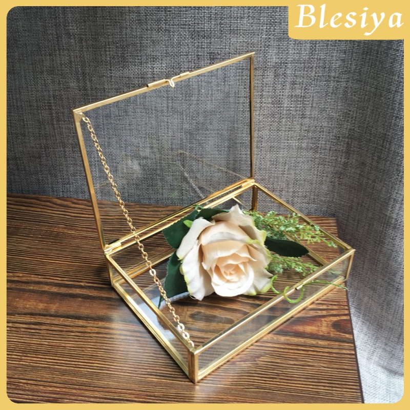 Hộp bồn cảnh thủy tinh đựng đồ trang sức để bàn 10x7 x 6cm