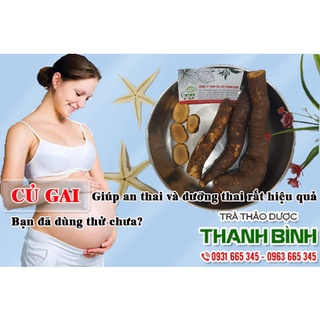Củ Gai An Thai Khô - thảo dược Thanh Bình