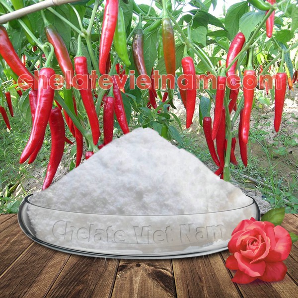 4-CPA-Na 98%  gói 100g