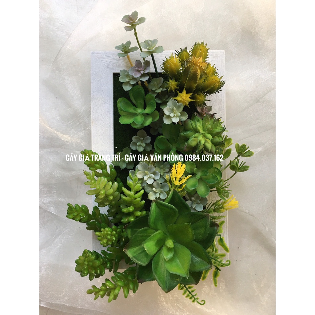 Khung Cây Sen Đá Giả Trang Trí Treo Tường - Khung Cây Sen Đá Decor Nhà Cửa